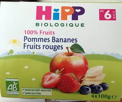 Hipp 100% Fruits Pommes Bananes Fruits Rouges